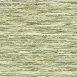 Xan Palm Wp W0192/04.CAC.0 by Clarke And Clarke Wallcovering