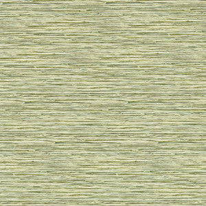 Xan Palm Wp W0192/04.CAC.0 by Clarke And Clarke Wallcovering
