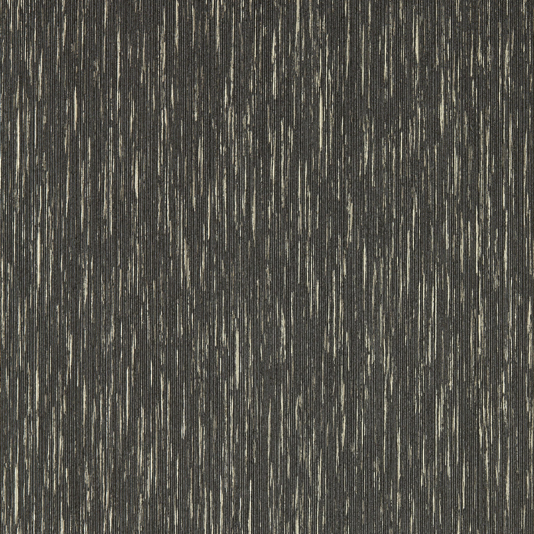 Charcoal Gilver Wp By Clarke & Clarke Wallcovering