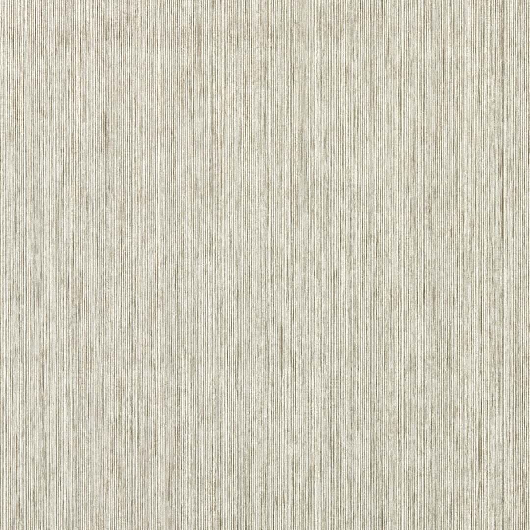 Putty Wp By Clarke & Clarke Wallcovering