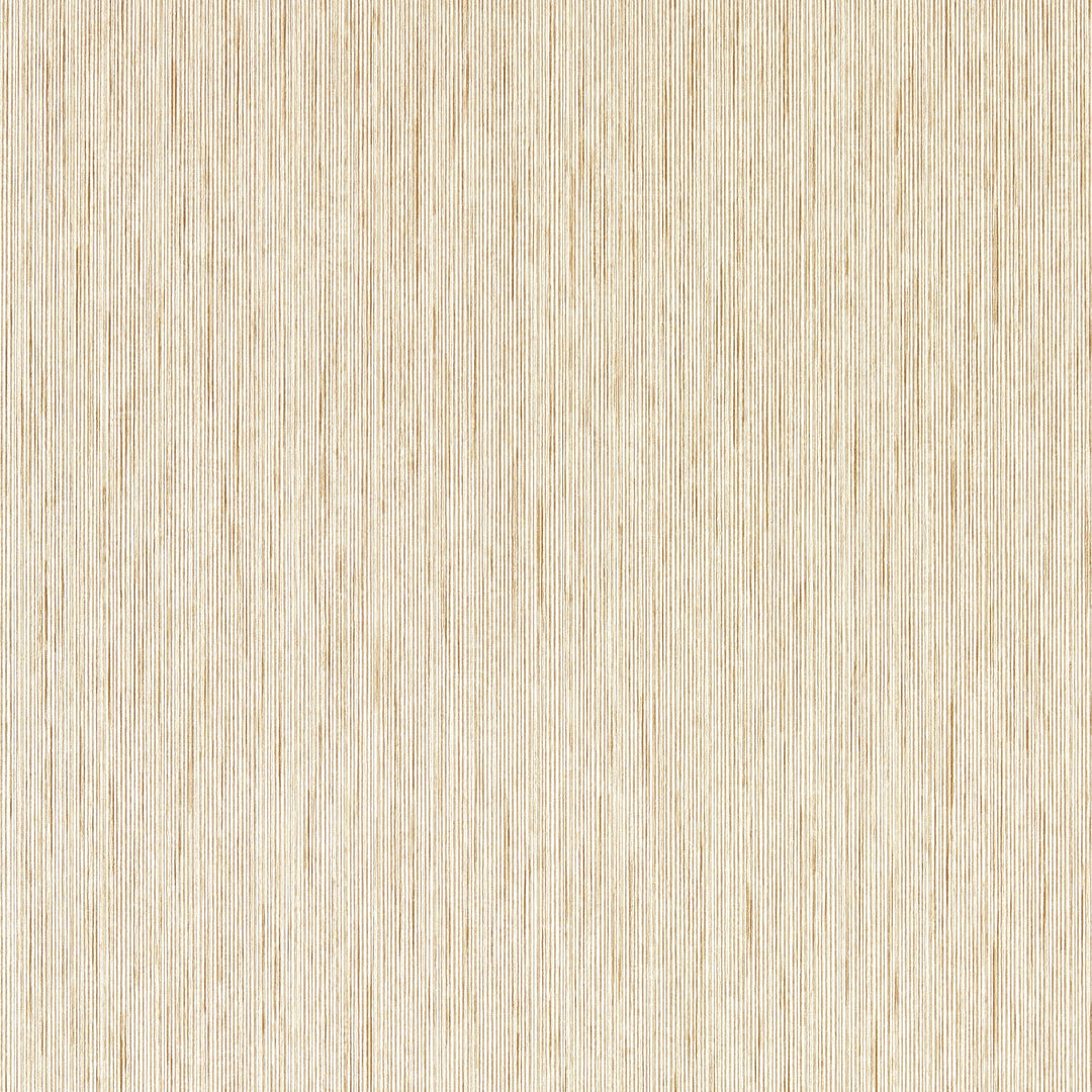 Sahara Wp By Clarke & Clarke Wallcovering