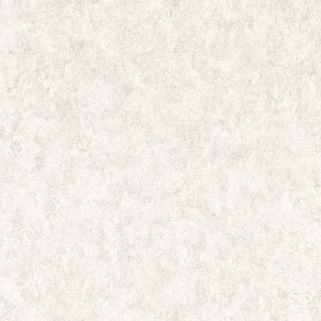 Ash Wp By Clarke & Clarke Wallcovering