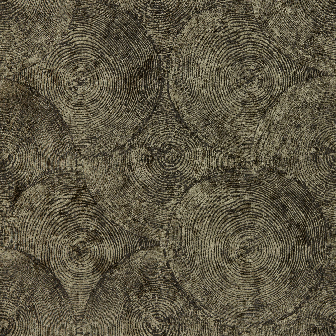 Charcoal Gilver Wp By Clarke & Clarke Wallcovering