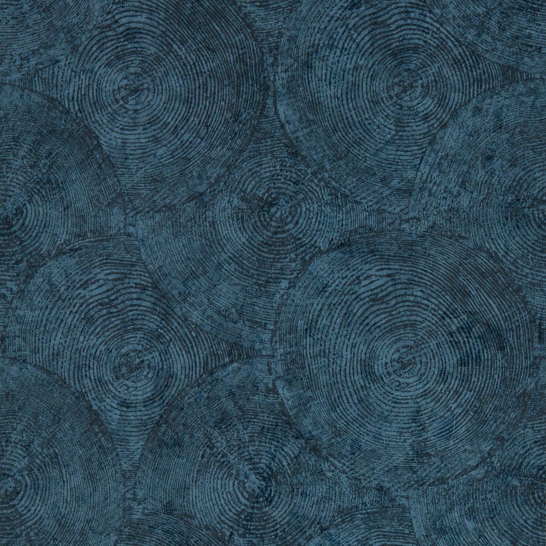 Midnight Wp By Clarke & Clarke Wallcovering