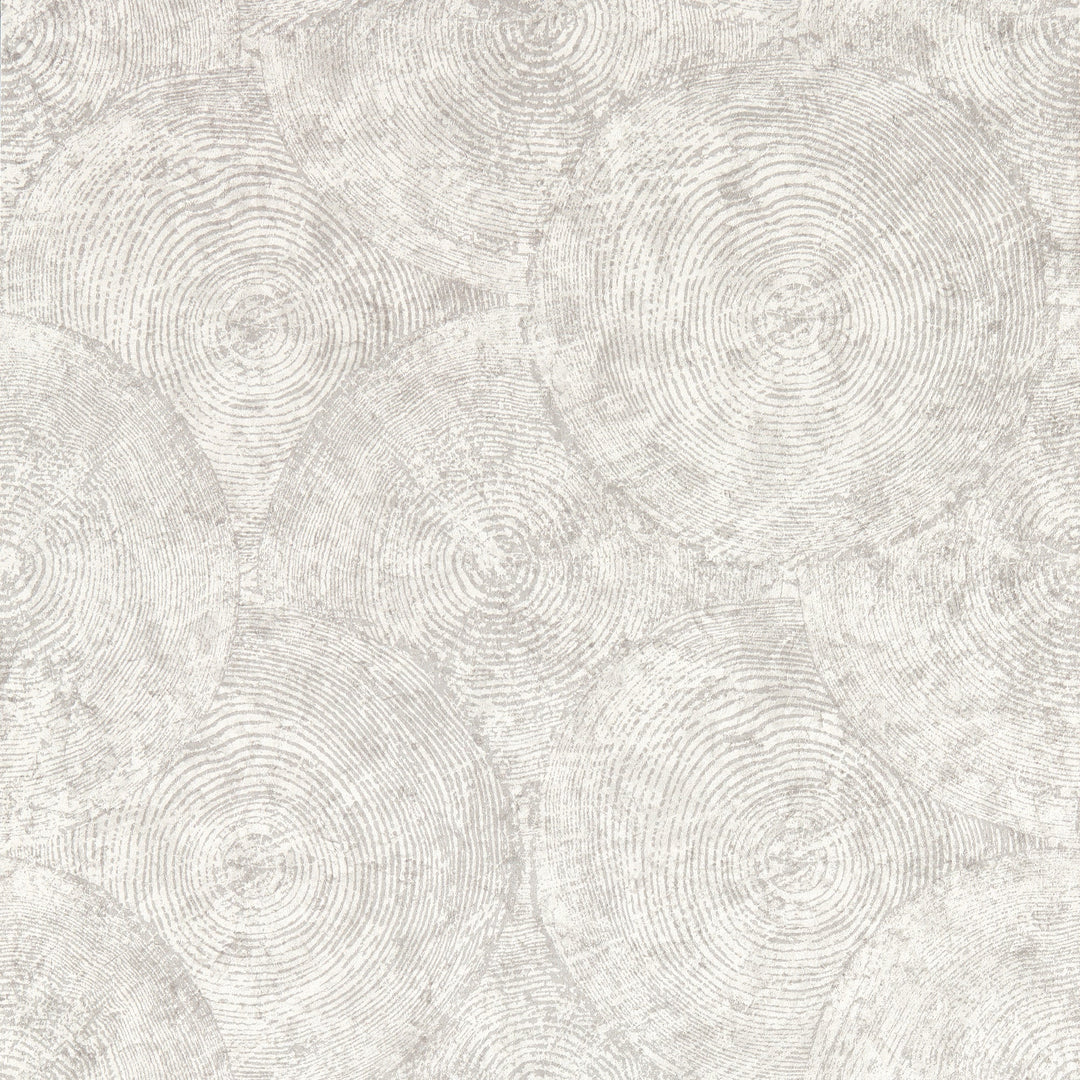 Putty Wp By Clarke & Clarke Wallcovering