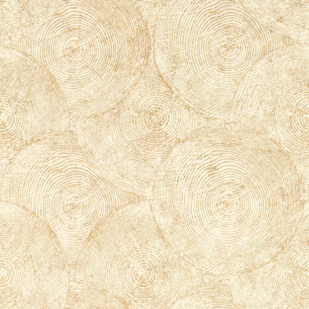 Sahara Wp By Clarke & Clarke Wallcovering