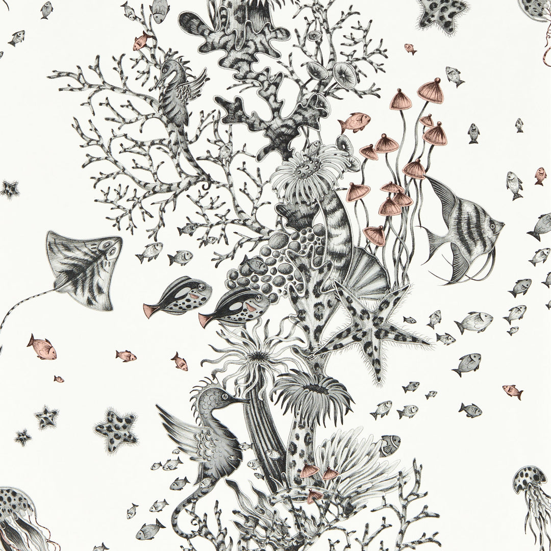Mono Wp By Clarke & Clarke Wallcovering