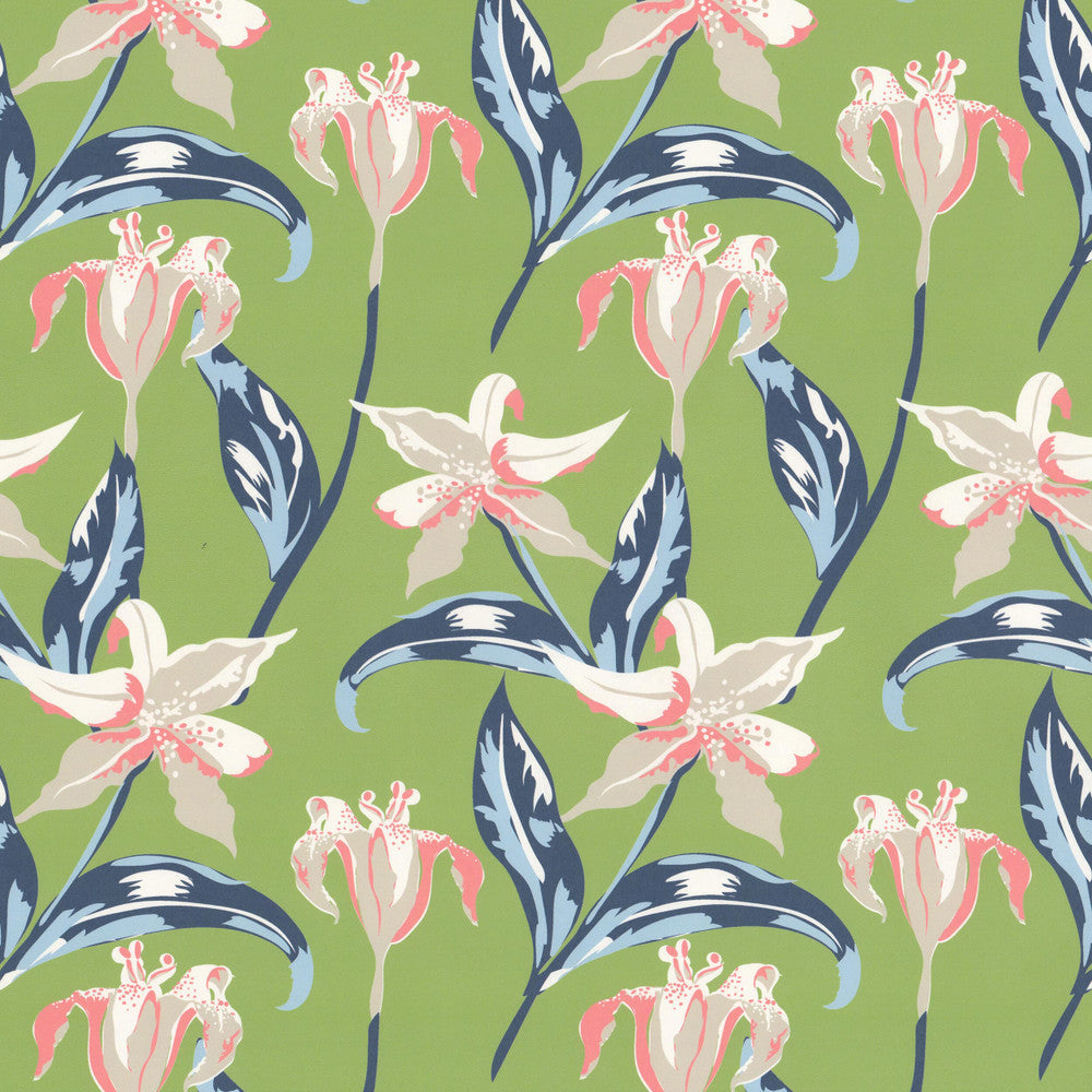 W07Vl Emma 1 Grass by Aoc Wallcovering ART OF COLOR HERITAGE WALLPAPER II 100%PA USA Horizontal: 9.000 and Vertical: 12.000 27 in - Fabric Carolina -