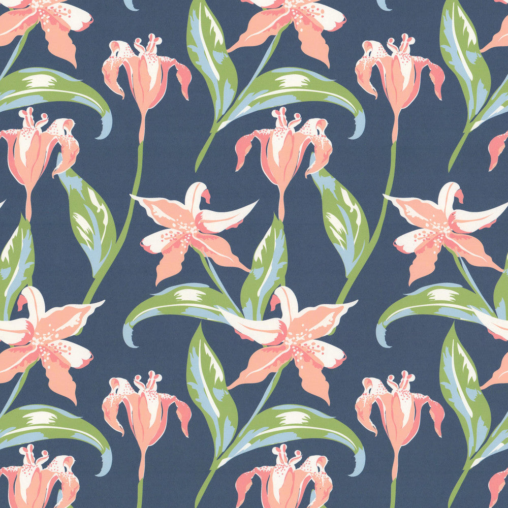 W07Vl Emma 2 Punch by Aoc Wallcovering ART OF COLOR HERITAGE WALLPAPER II 100%PA USA Horizontal: 9.000 and Vertical: 12.000 27 in - Fabric Carolina -