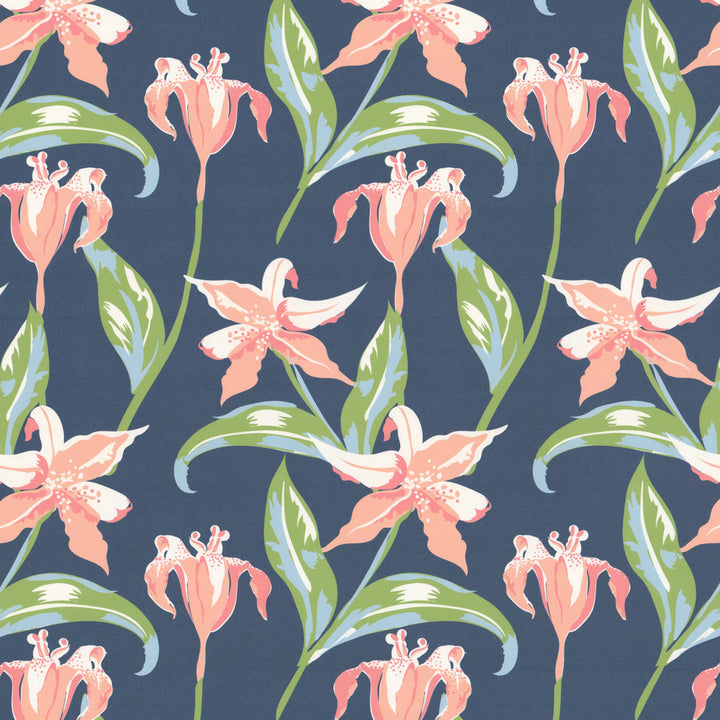 W07Vl Emma 2 Punch by Aoc Wallcovering ART OF COLOR HERITAGE WALLPAPER II 100%PA USA Horizontal: 9.000 and Vertical: 12.000 27 in - Fabric Carolina -