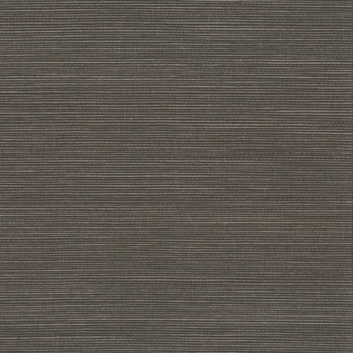 W1014-9 Hadley Ebony Wallpaper by Aoc Wallcovering Aoc Wallcovering W1014-9 Hadley Ebony WallpaperWallcovering VINYL TEXTURED WALLPAPER 100%OTH USA </p><p>Repeat: H: 0.000, V: 0.000 27 in - Fabric Carolina -