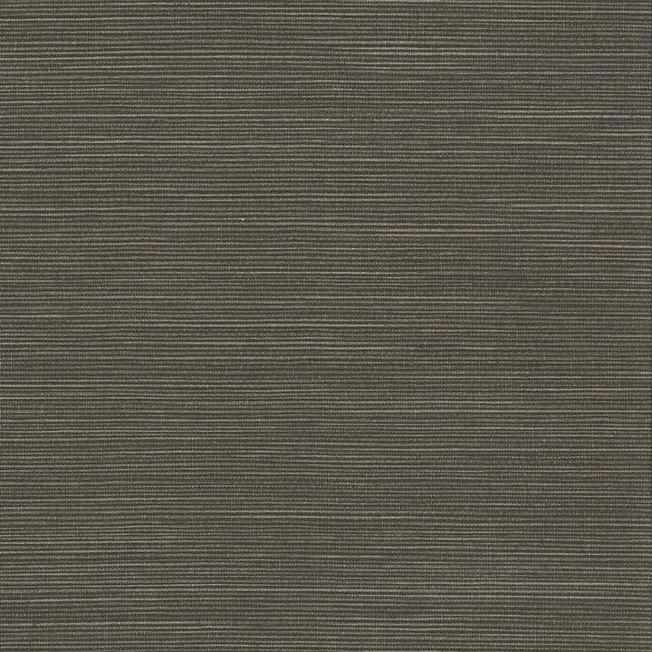 W1014-9 Hadley Ebony Wallpaper by Aoc Wallcovering Aoc Wallcovering W1014-9 Hadley Ebony WallpaperWallcovering VINYL TEXTURED WALLPAPER 100%OTH USA </p><p>Repeat: H: 0.000, V: 0.000 27 in - Fabric Carolina -