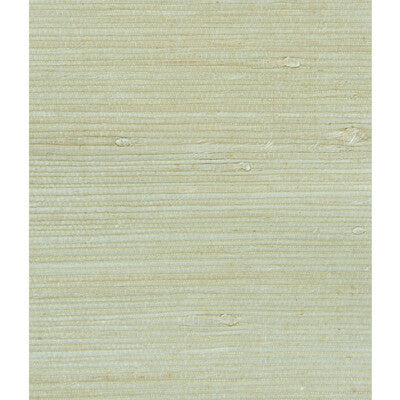 W3047.106.0 by Kravet Wallcovering Kravet Wallcovering W3047.106.0Wallcovering GRASS - 100% China </p><p>Repeat: H: 0, V: 0 36 - Fabric Carolina -