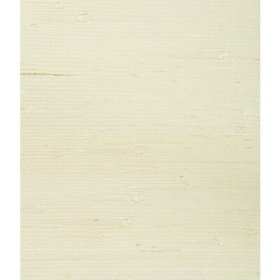 W3108.16.0 by Kravet Wallcovering Kravet Wallcovering W3108.16.0Wallcovering GRASSCLOTH III GRASS - 100% China </p><p>Repeat: H: 0, V: 0 36 - Fabric Carolina -