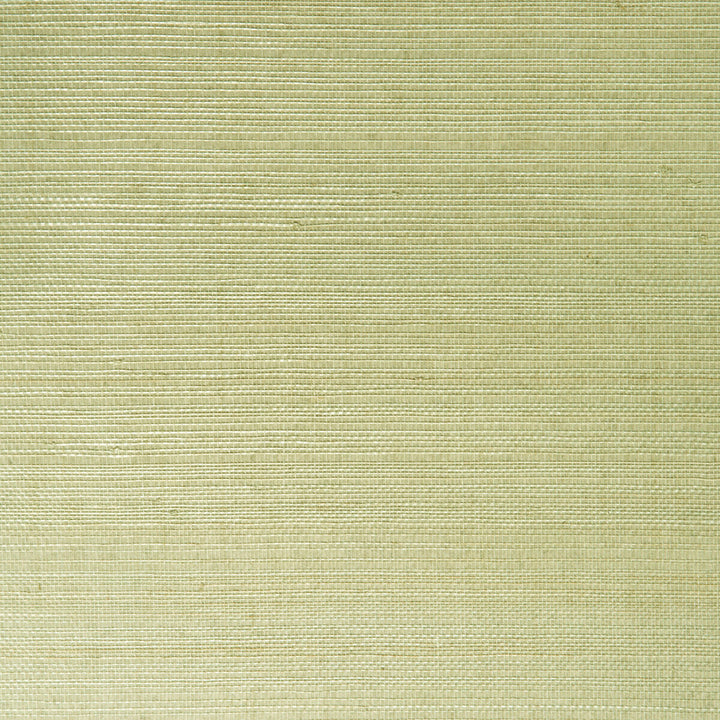 Kravet Design W3205-130 by Kravet Design Wallcovering Kravet Design Wallcovering Kravet Design W3205-130Wallcovering GRASSCLOTH III GRASS - 100% China </p><p>Repeat: H: , V: 36 - Fabric Carolina -