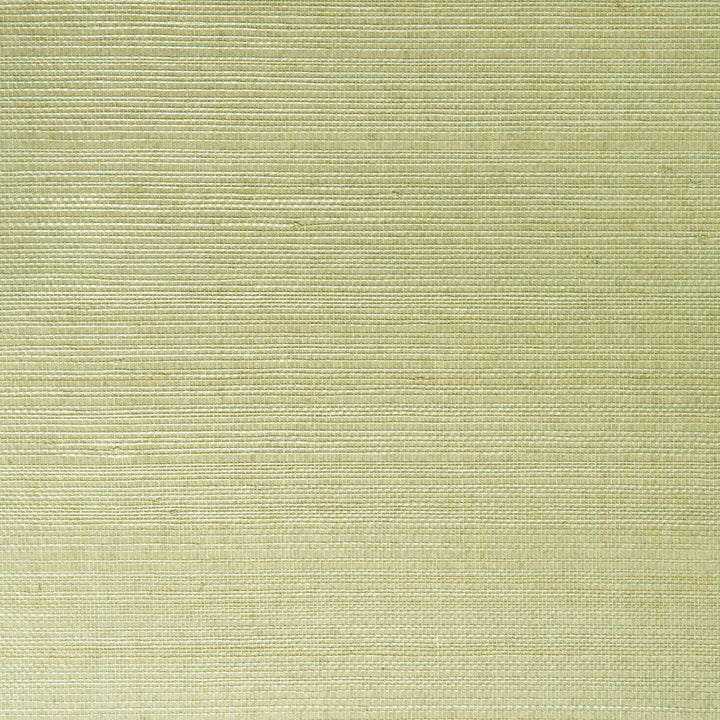 W3205-130 by Kravet Design Designer Wallcovering GRASSCLOTH III GRASS - 100% China Horizontal: and Vertical: 36 - Swanky Fabrics -