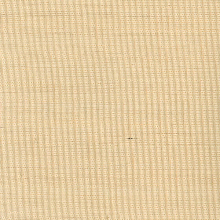W3291-16 by Kravet Design Wallcovering GRASSCLOTH III GRASS - 100% China Horizontal: and Vertical: 36 - Fabric Carolina -