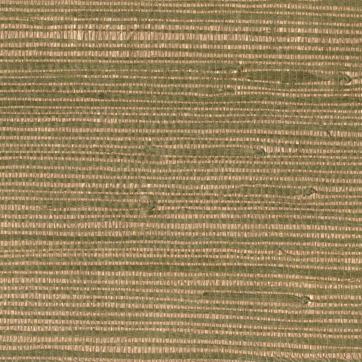 W3296-6 by Kravet Design Wallcovering GRASSCLOTH III GRASS - 100% China Horizontal: and Vertical: 36 - Fabric Carolina -