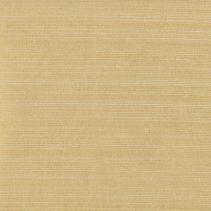 W3306-14 by Kravet Design Wallcovering METALLIC - 50%;GRASS - 25%;SISAL - 25% Korea, Republic of Horizontal: and Vertical: 36 - Fabric Carolina -