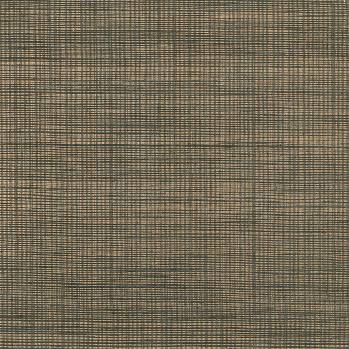 W3306-84 by Kravet Design Wallcovering METALLIC - 50%;GRASS - 25%;SISAL - 25% Korea, Republic of Horizontal: and Vertical: 36 - Fabric Carolina -