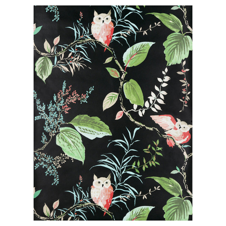 Owlish Black by Kravet Design Wallcovering KATE SPADE WHIMSIES PAPER - 100% United States Horizontal: 27 and Vertical: 27 27 - Fabric Carolina -