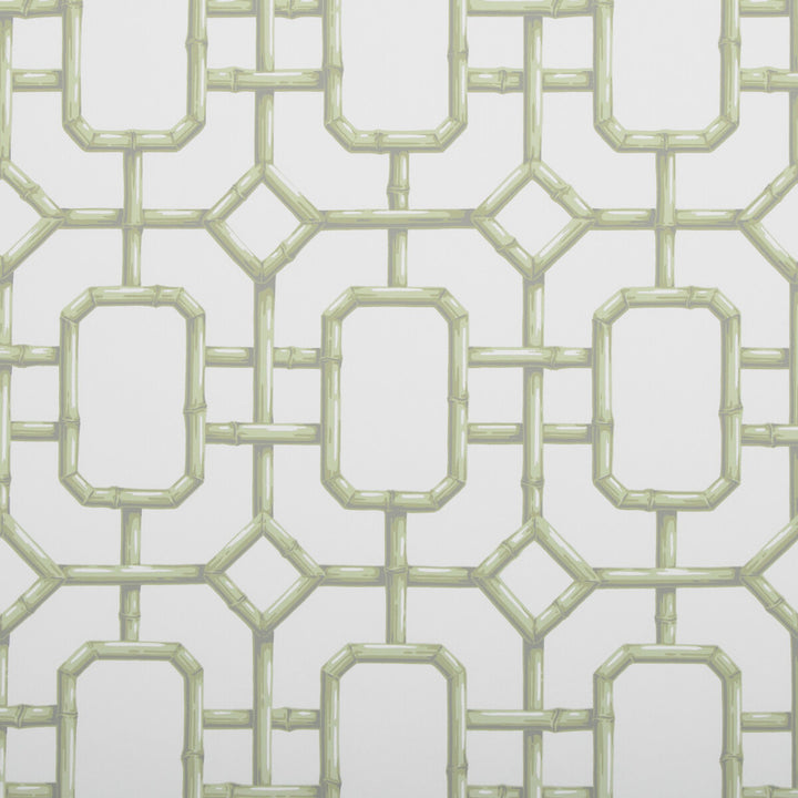Bambu Fret Celery by Kravet Couture Wallcovering JAN SHOWERS GLAMOROUS PAPER - 100% United States - Horizontal: 27 and Vertical: 36 27 - Fabric Carolina -