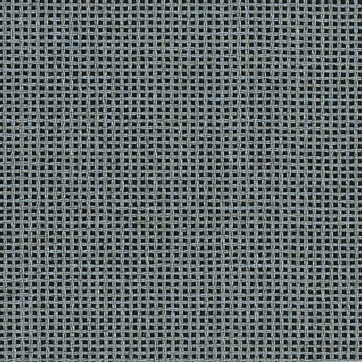 W3419-81 by Kravet Design Wallcovering - GRASS - 50%;PAPER - 50% Korea, Republic of - Horizontal: - and Vertical: - 36 - Fabric Carolina -