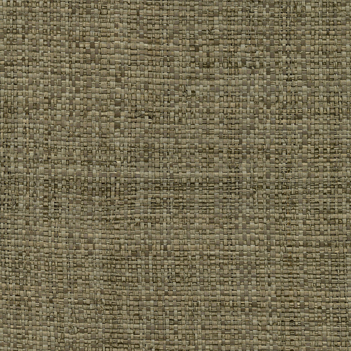 W3439-16 by Kravet Design Wallcovering GRASS - 100% Korea, Republic of Horizontal: and Vertical: 36 - Fabric Carolina -