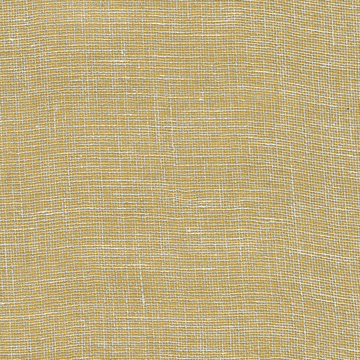 W3448-4 by Kravet Design Wallcovering GRASS - 100% Korea, Republic of Horizontal: and Vertical: 36 - Fabric Carolina -