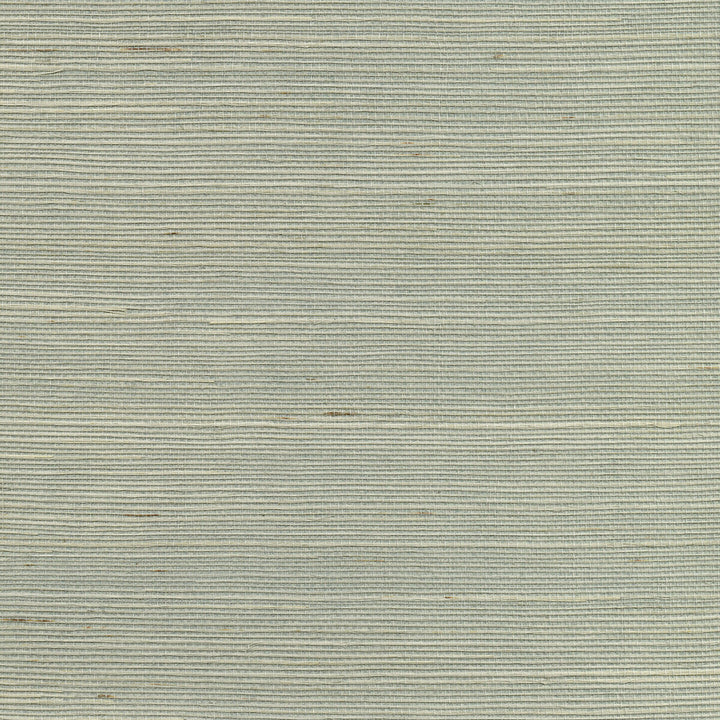 W3454-130 by Kravet Design Wallcovering GRASS - 100% China Horizontal: and Vertical: 36 - Fabric Carolina -