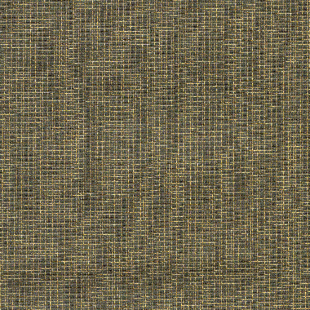 W3458-106 by Kravet Design Wallcovering GRASS - 100% China Horizontal: and Vertical: 36 - Fabric Carolina -