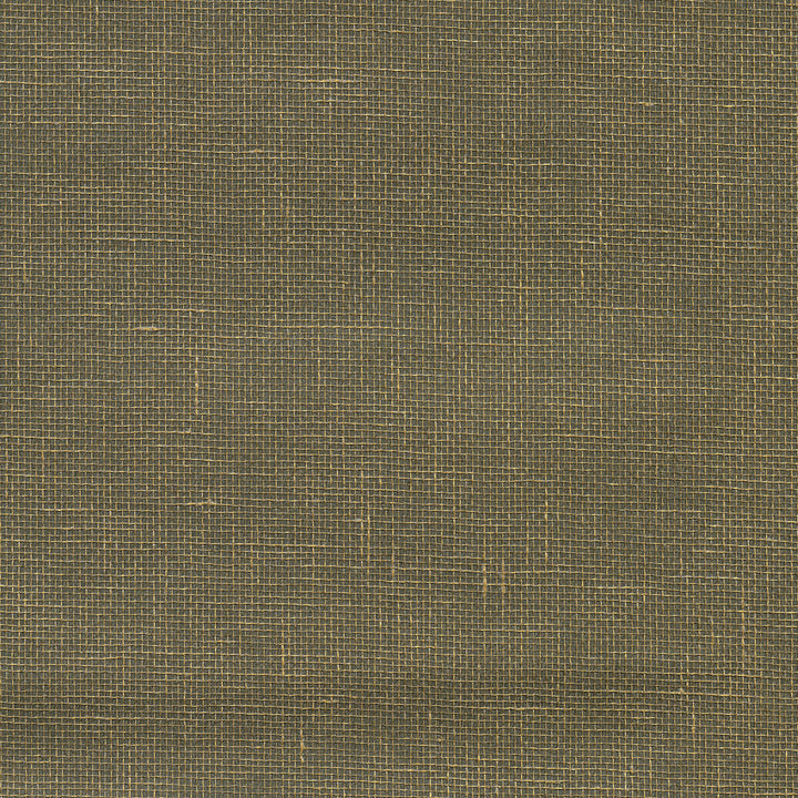 W3458-106 by Kravet Design Wallcovering GRASS - 100% China Horizontal: and Vertical: 36 - Fabric Carolina -