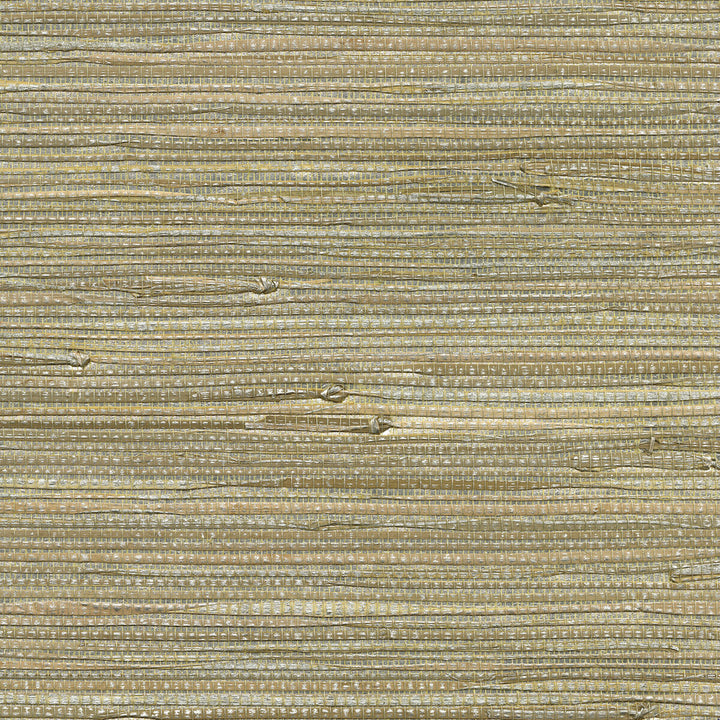 W3459-1611 by Kravet Design Wallcovering GRASS - 100% China Horizontal: and Vertical: 36 - Fabric Carolina -