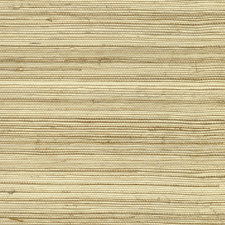 W3461-1611 by Kravet Design Wallcovering - GRASS - 100% China - Horizontal: - and Vertical: - 36 - Fabric Carolina -