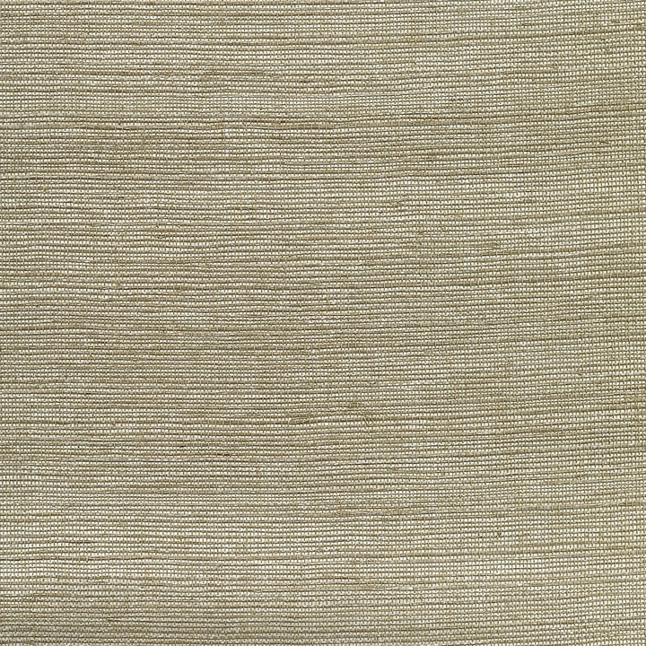 W3462-1611 by Kravet Design Wallcovering - GRASS - 100% China - Horizontal: - and Vertical: - 36 - Fabric Carolina -