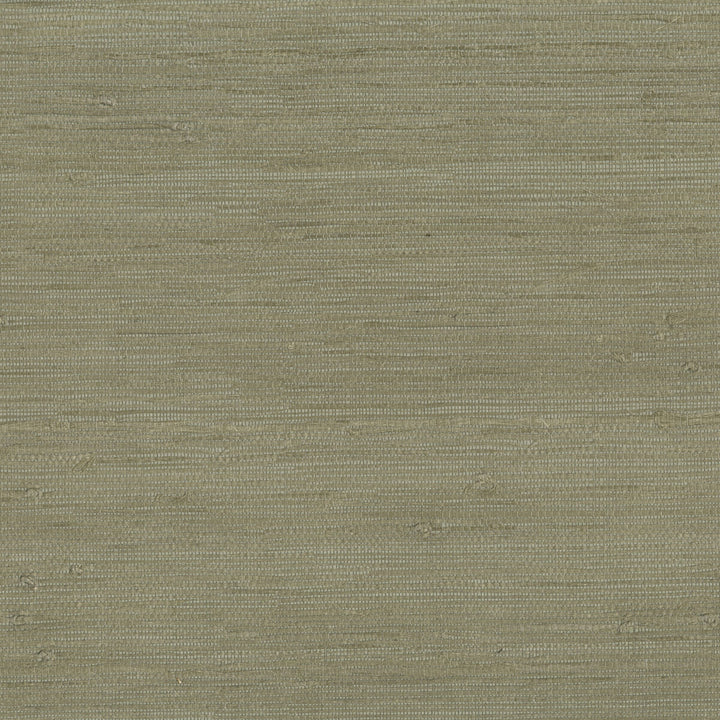 W3540-106 by Kravet Design Wallcovering JUTE - 100% China Horizontal: and Vertical: 36 - Fabric Carolina -