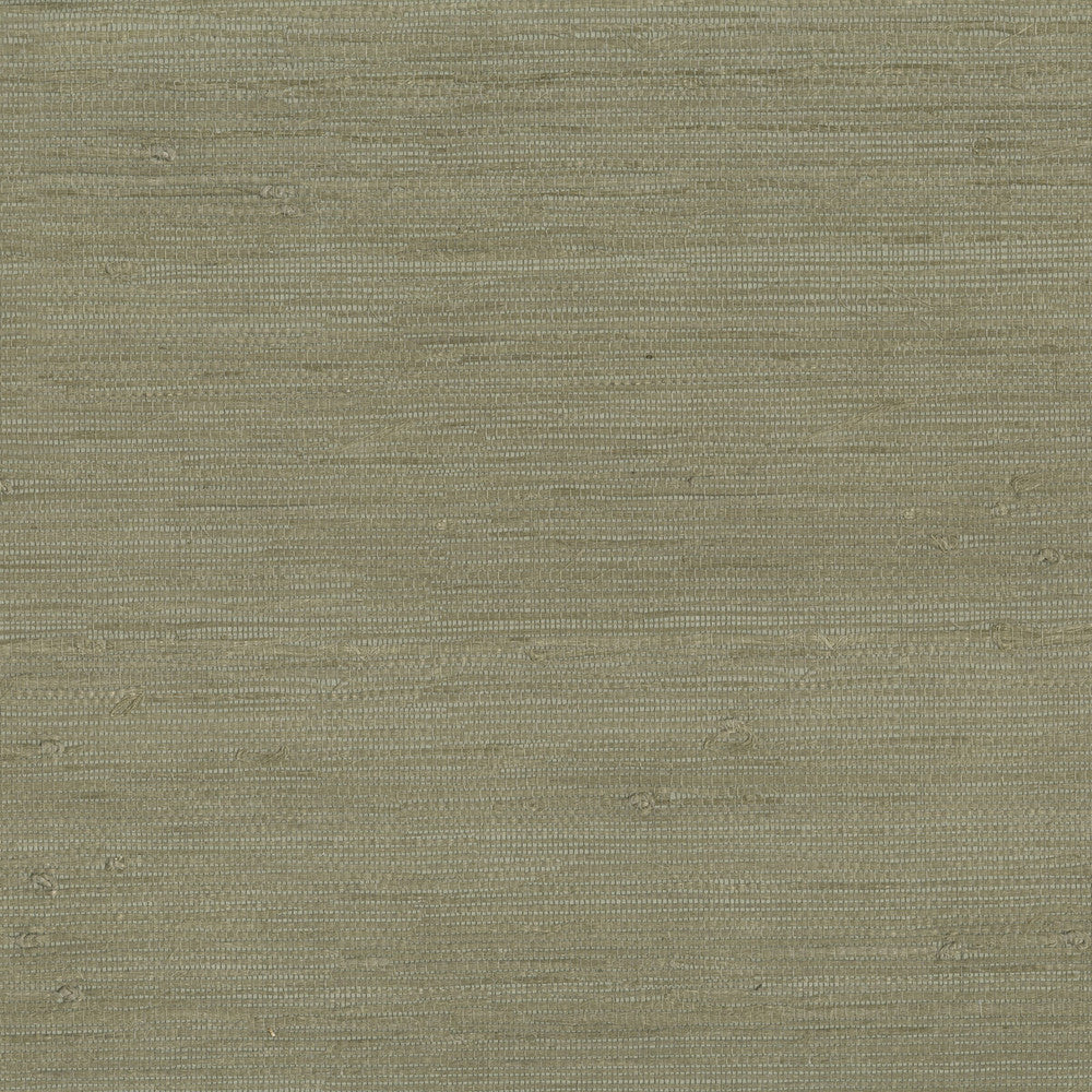 W3540-106 by Kravet Design Wallcovering JUTE - 100% China Horizontal: and Vertical: 36 - Fabric Carolina -