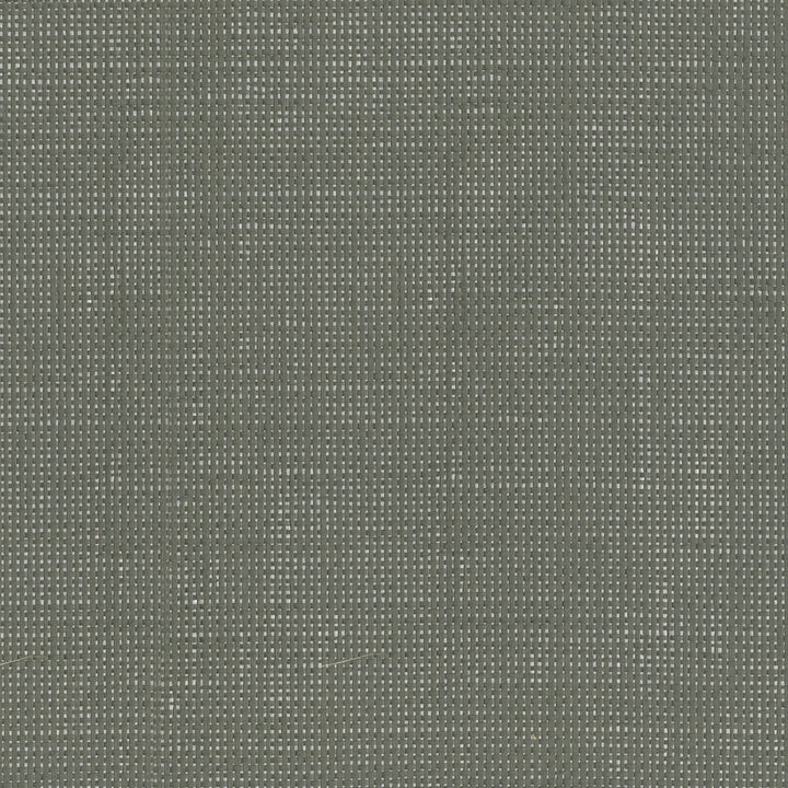 W3551-21 by Kravet Design Wallcovering PAPER - 90%;METAL - 10% China Horizontal: and Vertical: 36 - Fabric Carolina -