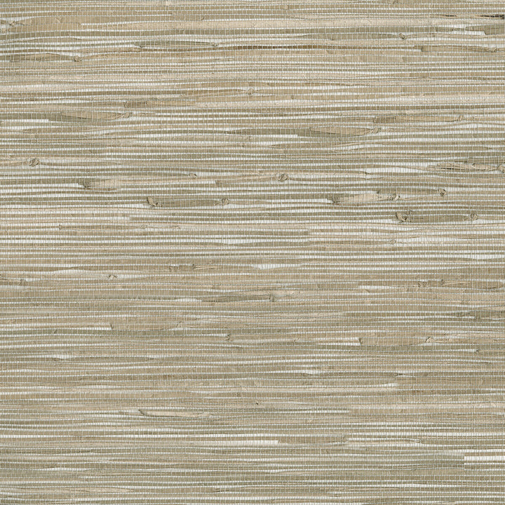 W3561-106 by Kravet Design Wallcovering GRASS - 100% China Horizontal: and Vertical: 36 - Fabric Carolina -
