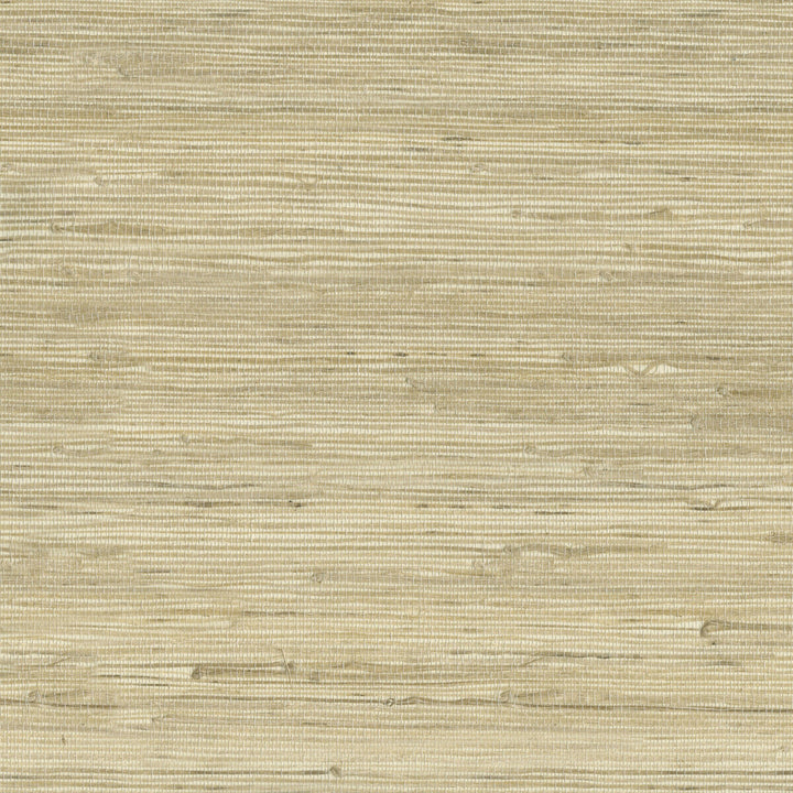 W3566-16 by Kravet Design Wallcovering JUTE - 100% China Horizontal: and Vertical: 36 - Fabric Carolina -