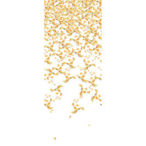 Falling Ginkgo Autumn by Kravet Couture Wallcovering