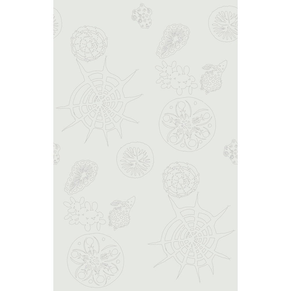 Telescopic P Mercury by Kravet Couture Wallcovering PAPERSCAPE ARTIST SERIES PAPER - 100% United States Horizontal: 27 and Vertical: 72 27 - Fabric Carolina -