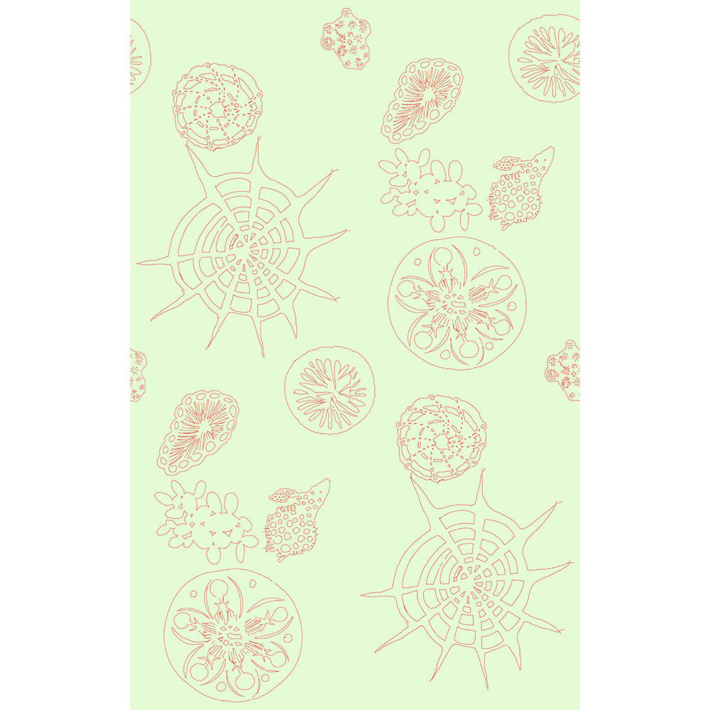 Telescopic P Coral Sea by Kravet Couture Wallcovering PAPERSCAPE ARTIST SERIES PAPER - 100% United States Horizontal: 27 and Vertical: 72 27 - Fabric Carolina -