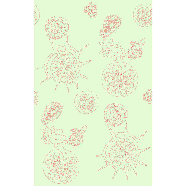 Telescopic P Coral Sea by Kravet Couture Wallcovering Kravet Couture Wallcovering Telescopic P Coral SeaWallcovering PAPERSCAPE ARTIST SERIES PAPER - 100% United States </p><p>Repeat: H: 27, V: 72 27 - Fabric Carolina -