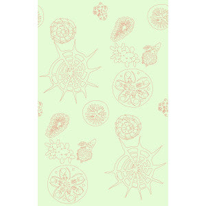 Telescopic P Coral Sea by Kravet Couture Wallcovering