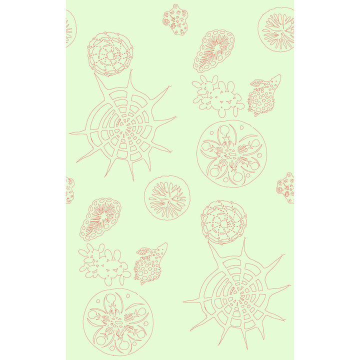 Telescopic P Coral Sea by Kravet Couture Wallcovering Kravet Couture Wallcovering Telescopic P Coral SeaWallcovering PAPERSCAPE ARTIST SERIES PAPER - 100% United States </p><p>Repeat: H: 27, V: 72 27 - Fabric Carolina -