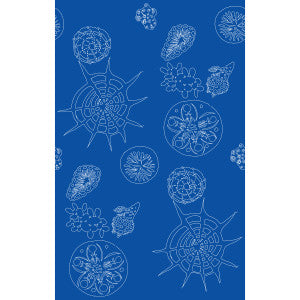 Telescopic P Nautics by Kravet Couture Wallcovering
