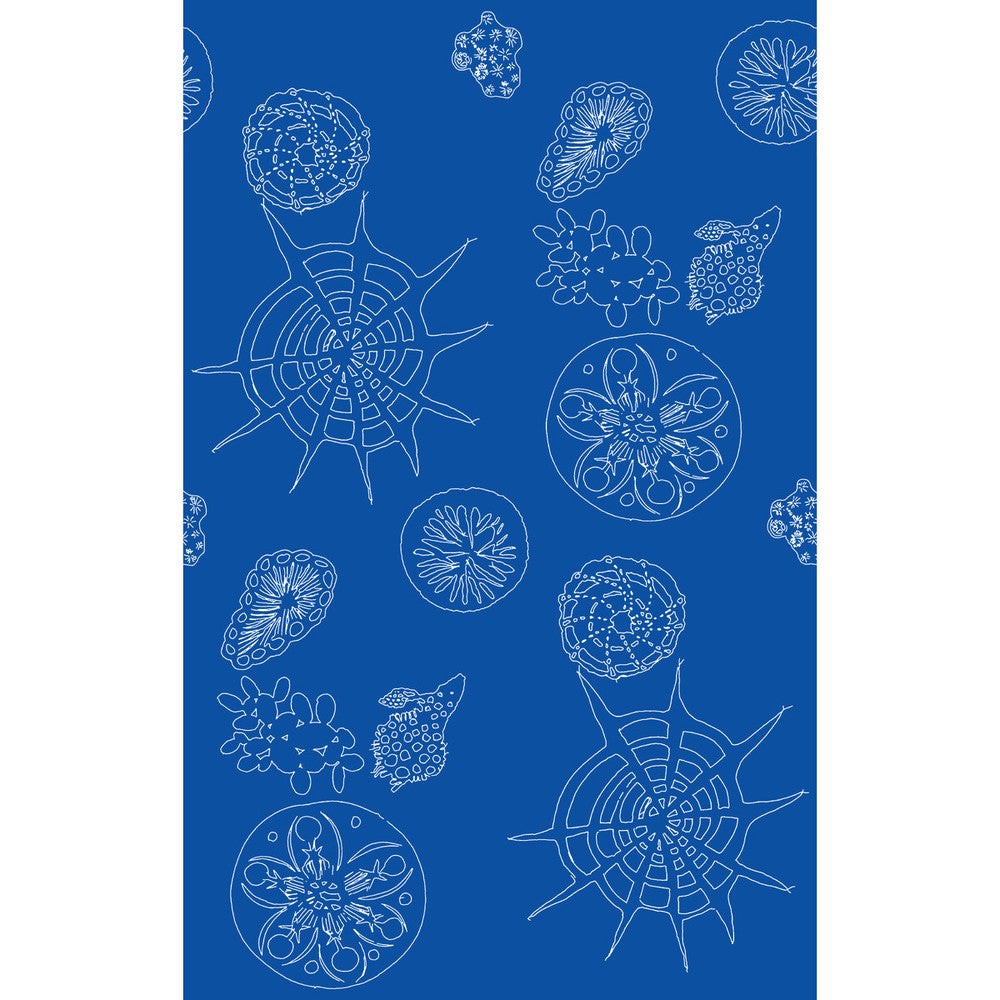 Telescopic P Nautics by Kravet Couture Wallcovering PAPERSCAPE ARTIST SERIES PAPER - 100% United States Horizontal: 27 and Vertical: 72 27 - Fabric Carolina -