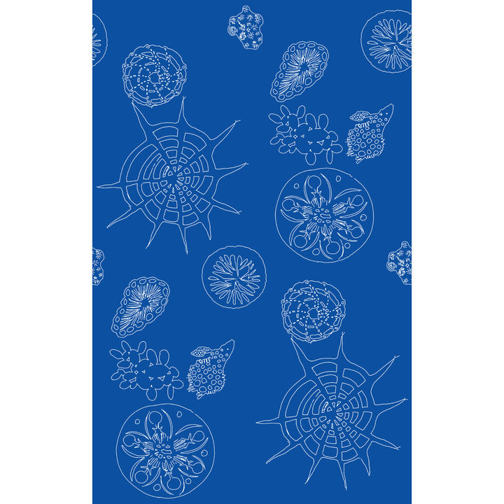 Telescopic P Nautics by Kravet Couture Wallcovering Kravet Couture Wallcovering Telescopic P NauticsWallcovering PAPERSCAPE ARTIST SERIES PAPER - 100% United States </p><p>Repeat: H: 27, V: 72 27 - Fabric Carolina -