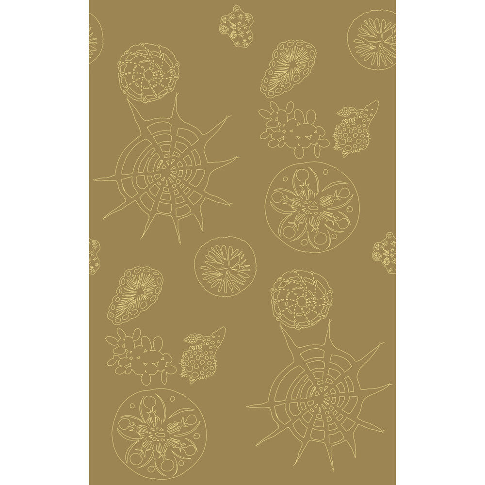 Telescopic P Sanddollar by Kravet Couture Wallcovering Kravet Couture Wallcovering Telescopic P SanddollarWallcovering PAPERSCAPE ARTIST SERIES PAPER - 100% United States </p><p>Repeat: H: 27, V: 72 27 - Fabric Carolina -